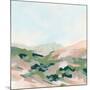 Wood Mount