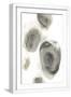 White Frame