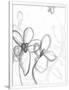 Gramercy White