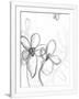 Gramercy White
