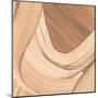 Wood Mount