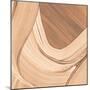 Wood Mount