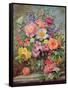 June Flowers in Radiance-Albert Williams-Framed Stretched Canvas