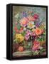 June Flowers in Radiance-Albert Williams-Framed Stretched Canvas