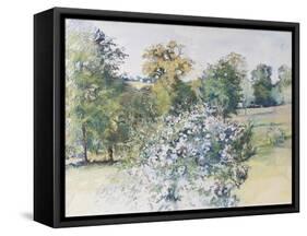 June from Our Window, 2007-Caroline Hervey-Bathurst-Framed Stretched Canvas