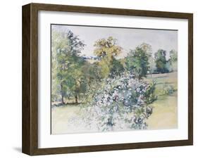 June from Our Window, 2007-Caroline Hervey-Bathurst-Framed Giclee Print