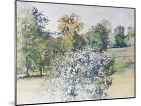 June from Our Window, 2007-Caroline Hervey-Bathurst-Mounted Giclee Print