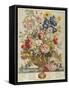 June, from 'Twelve Months of Flowers' by Robert Furber (C.1674-1756) Engraved by Henry Fletcher-Pieter Casteels-Framed Stretched Canvas