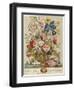 June, from 'Twelve Months of Flowers' by Robert Furber (C.1674-1756) Engraved by Henry Fletcher-Pieter Casteels-Framed Giclee Print