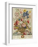 June, from 'Twelve Months of Flowers' by Robert Furber (C.1674-1756) Engraved by Henry Fletcher-Pieter Casteels-Framed Giclee Print