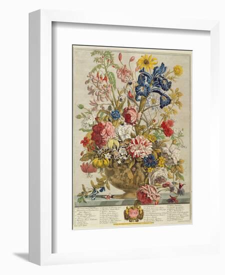 June, from 'Twelve Months of Flowers' by Robert Furber (C.1674-1756) Engraved by Henry Fletcher-Pieter Casteels-Framed Giclee Print