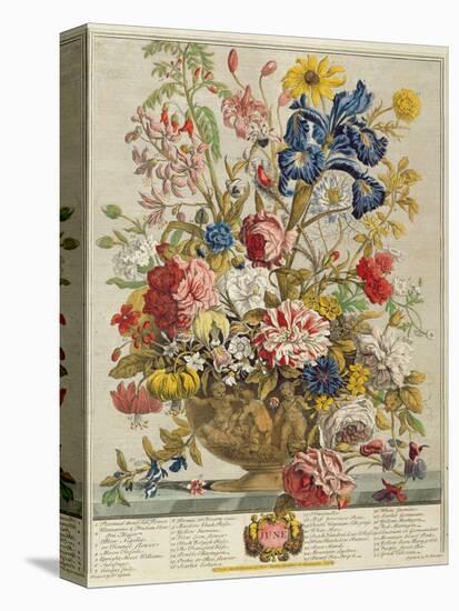 June, from 'Twelve Months of Flowers' by Robert Furber (C.1674-1756) Engraved by Henry Fletcher-Pieter Casteels-Stretched Canvas