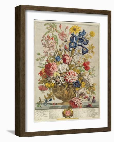 June, from 'Twelve Months of Flowers' by Robert Furber (C.1674-1756) Engraved by Henry Fletcher-Pieter Casteels-Framed Giclee Print