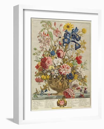 June, from 'Twelve Months of Flowers' by Robert Furber (C.1674-1756) Engraved by Henry Fletcher-Pieter Casteels-Framed Giclee Print