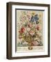 June, from 'Twelve Months of Flowers' by Robert Furber (C.1674-1756) Engraved by Henry Fletcher-Pieter Casteels-Framed Premium Giclee Print