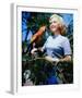 June Haver-null-Framed Photo