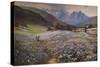 'June in the Austrian Tyrol', c1892-John MacWhirter-Stretched Canvas