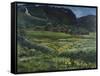 June night and old western Norway yard-Nikolai Astrup-Framed Stretched Canvas