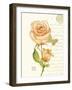 June Rose-Ariane Sarah-Framed Art Print