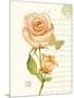 June Rose-Ariane Sarah-Mounted Art Print