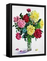 June Roses-Christopher Ryland-Framed Stretched Canvas