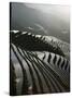 June Sunrise, Longsheng Terraced Ricefields, Guangxi Province, China, Asia-Angelo Cavalli-Stretched Canvas