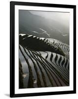 June Sunrise, Longsheng Terraced Ricefields, Guangxi Province, China, Asia-Angelo Cavalli-Framed Photographic Print