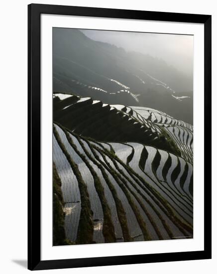 June Sunrise, Longsheng Terraced Ricefields, Guangxi Province, China, Asia-Angelo Cavalli-Framed Photographic Print