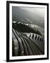 June Sunrise, Longsheng Terraced Ricefields, Guangxi Province, China, Asia-Angelo Cavalli-Framed Photographic Print