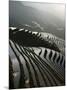 June Sunrise, Longsheng Terraced Ricefields, Guangxi Province, China, Asia-Angelo Cavalli-Mounted Photographic Print