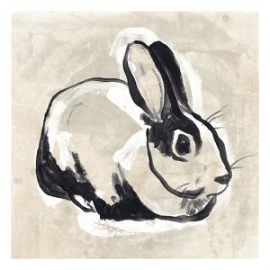 Rabbit Posters, Prints, Paintings & Wall Art | AllPosters.com