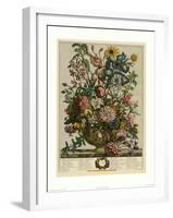 June-Robert Furber-Framed Art Print