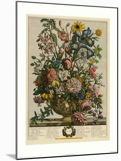 June-Robert Furber-Mounted Art Print