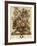 June-Robert Furber-Framed Giclee Print