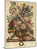 June-Robert Furber-Mounted Giclee Print