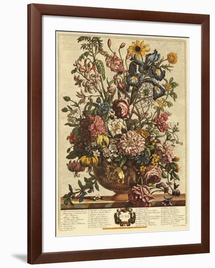 June-Robert Furber-Framed Giclee Print