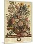 June-Robert Furber-Mounted Giclee Print