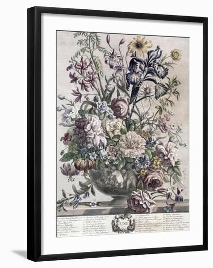 June-H. Fletcher-Framed Giclee Print