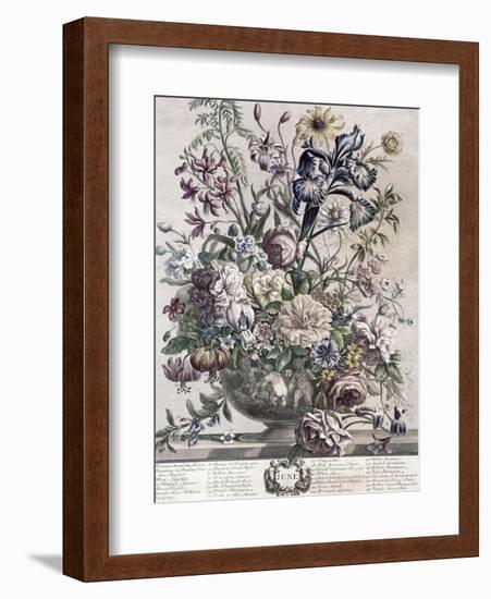 June-H. Fletcher-Framed Giclee Print