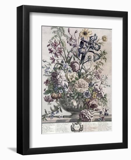 June-H. Fletcher-Framed Giclee Print