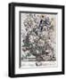 June-H. Fletcher-Framed Giclee Print