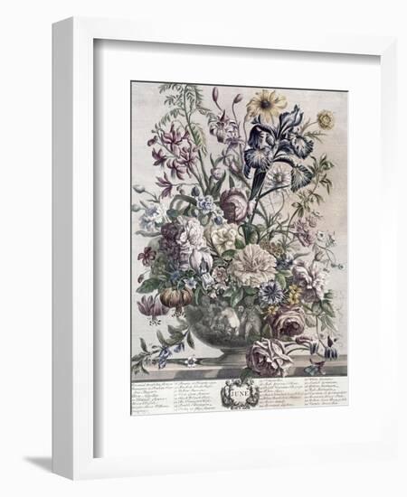 June-H. Fletcher-Framed Giclee Print