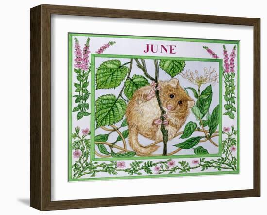 June-Catherine Bradbury-Framed Premium Giclee Print