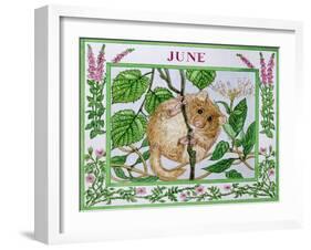 June-Catherine Bradbury-Framed Premium Giclee Print
