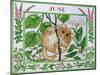 June-Catherine Bradbury-Mounted Premium Giclee Print