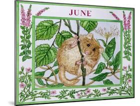 June-Catherine Bradbury-Mounted Premium Giclee Print