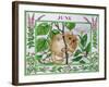 June-Catherine Bradbury-Framed Giclee Print