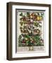 June-Pieter Casteels-Framed Giclee Print