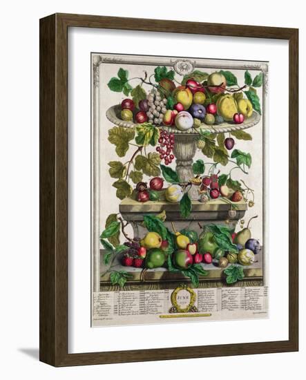 June-Pieter Casteels-Framed Giclee Print