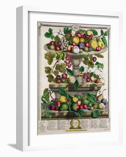 June-Pieter Casteels-Framed Giclee Print